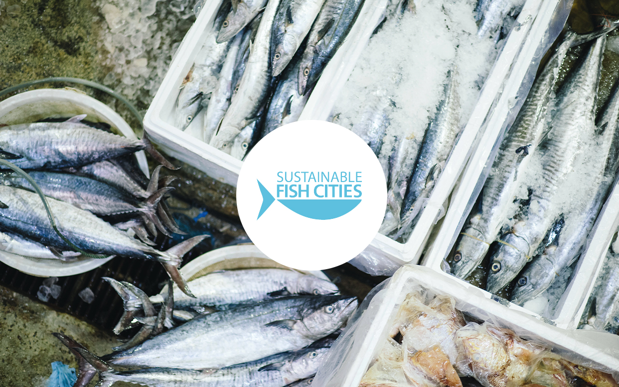 Sustainable fish city