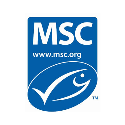 MSG Logo