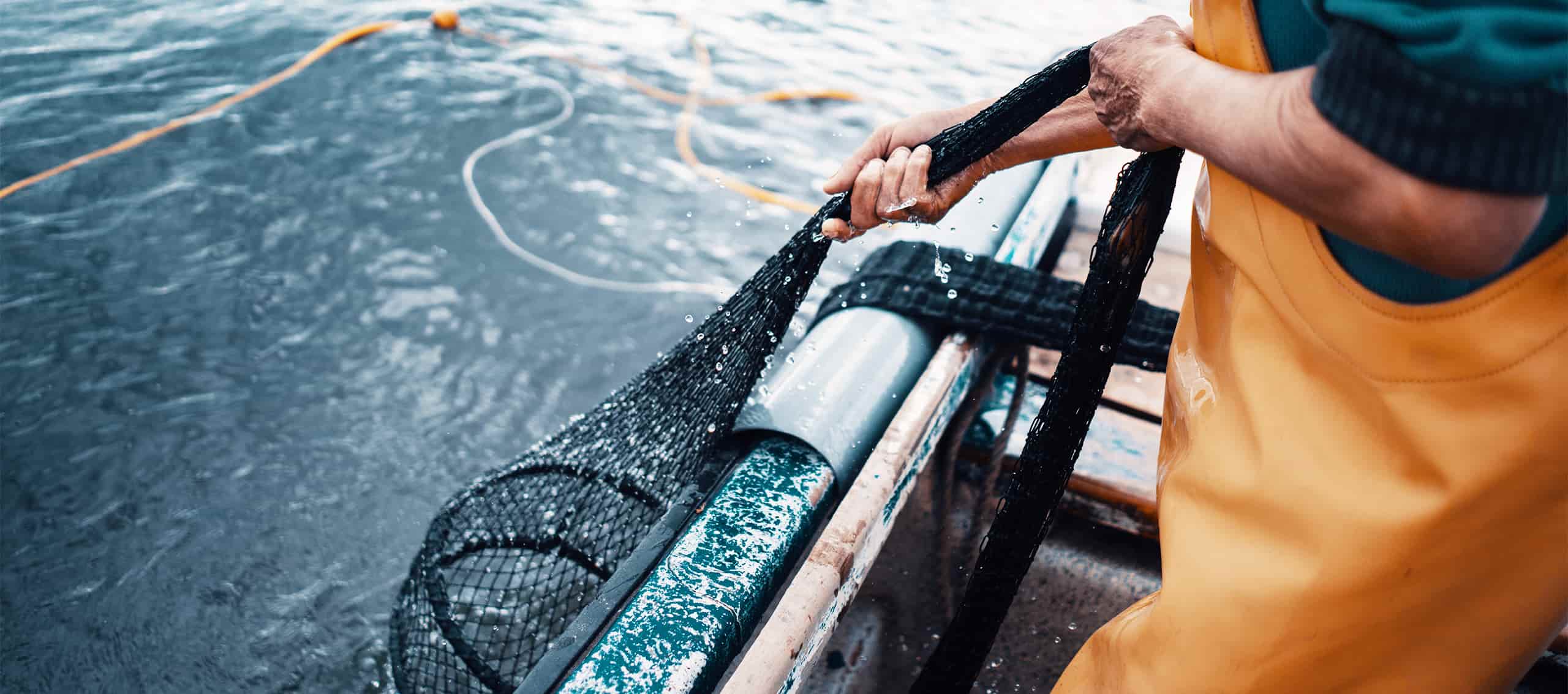 The Bay - National Fishing Month